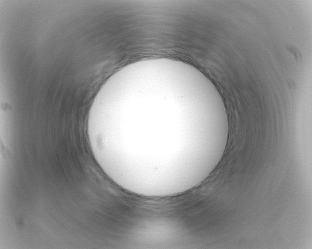 X0000091330768200708101001