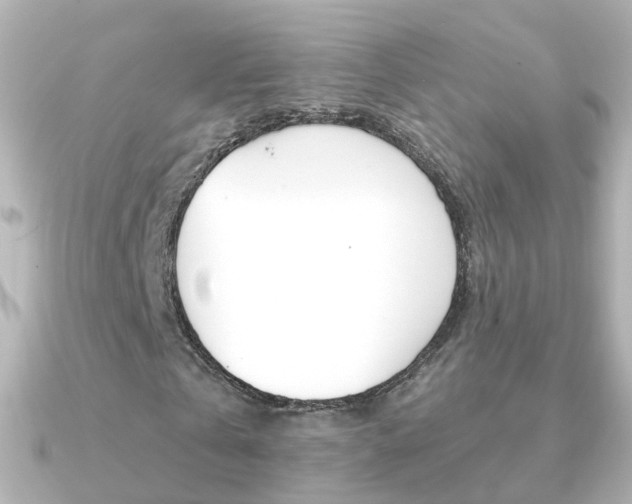 X0000091330769200708101001