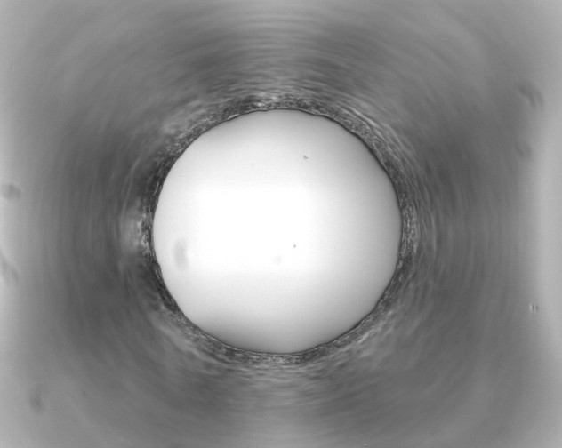 X0000091330770200708101001