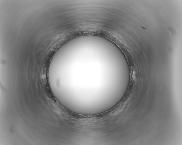 X0000091330771200708101001