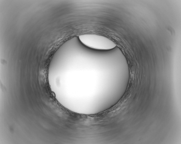 X0000091330772200708101001