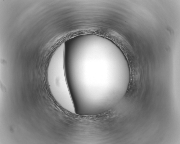 X0000091330773200708101001