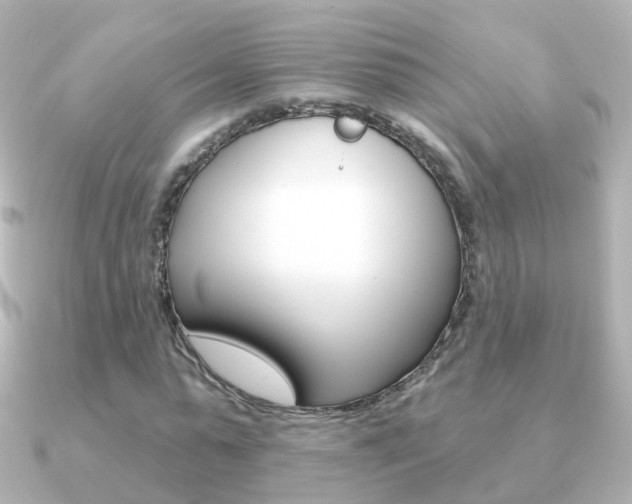 X0000091330775200708101001