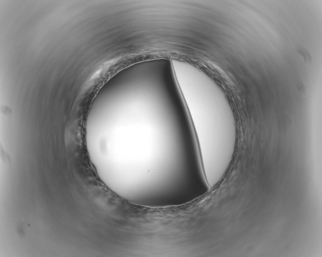 X0000091330776200708101001