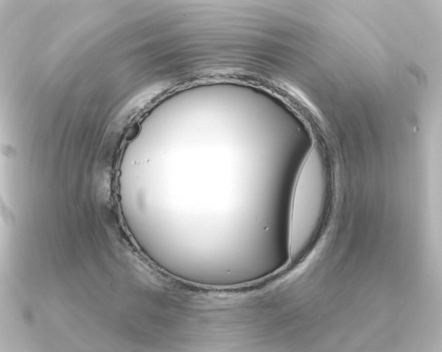 X0000091330777200708101001