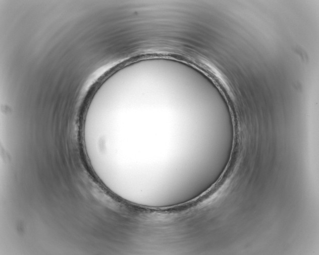 X0000091330779200708101001