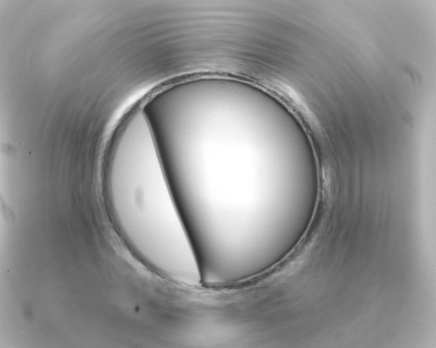 X0000091330780200708101001
