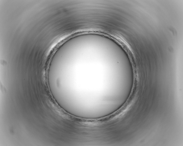 X0000091330781200708101001