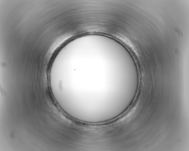 X0000091330782200708101001