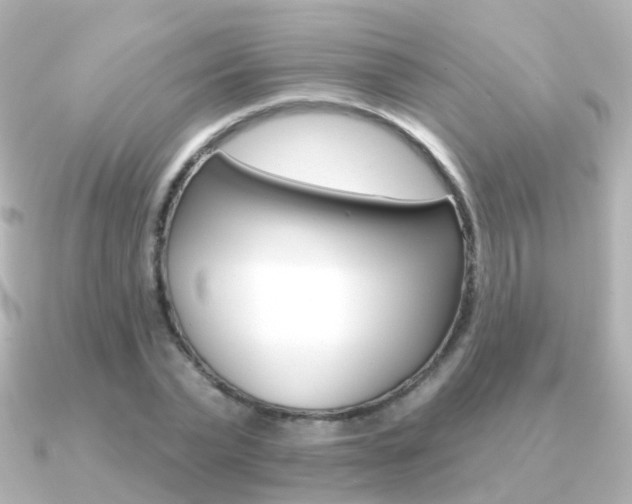 X0000091330783200708101001