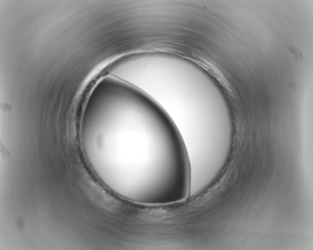 X0000091330784200708101001