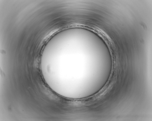 X0000091330785200708101001