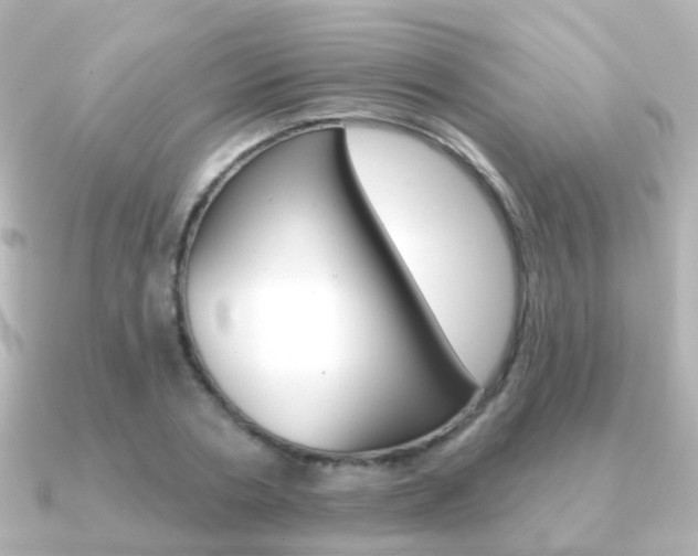 X0000091330786200708101001