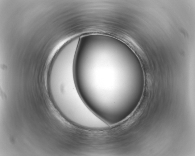 X0000091330788200708101001