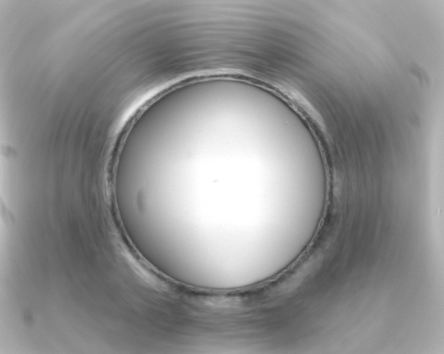 X0000091330789200708101001