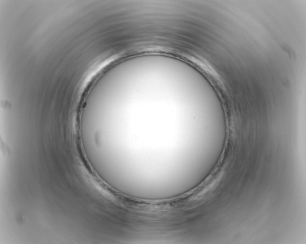 X0000091330790200708101001