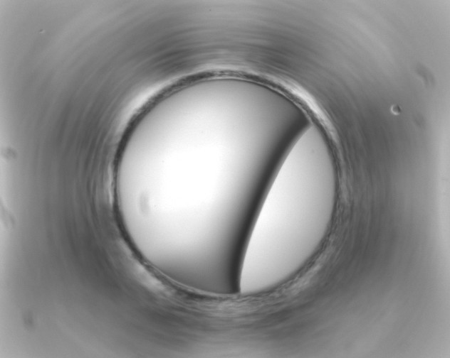 X0000091330791200708101001