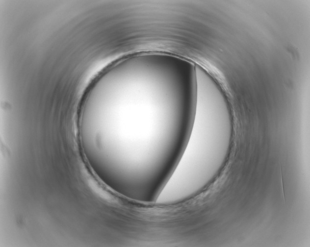 X0000091330792200708101001