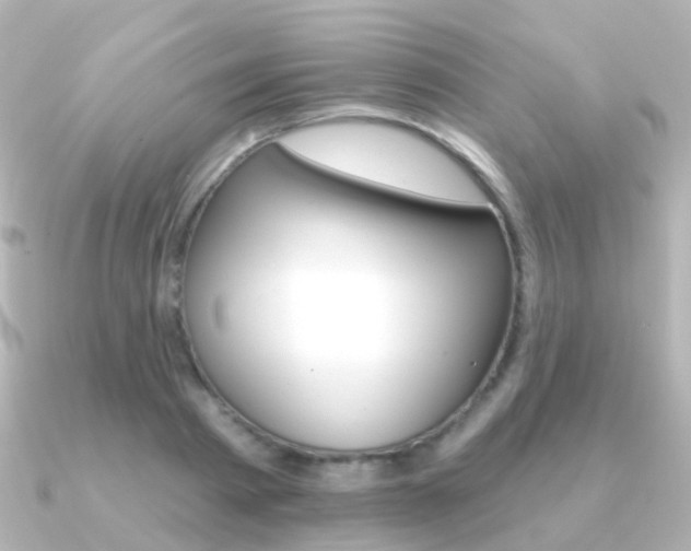 X0000091330793200708101001