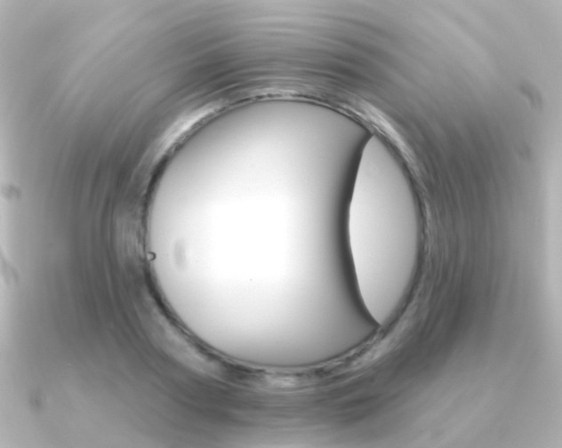 X0000091330794200708101001