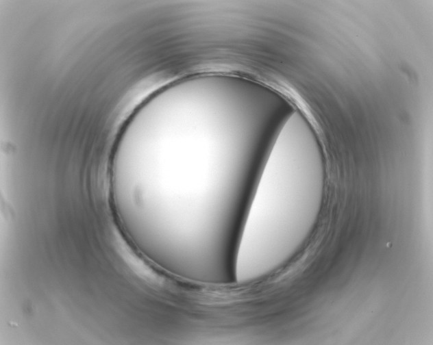 X0000091330795200708101001