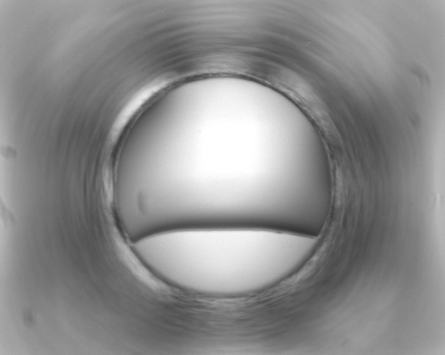 X0000091330796200708101001