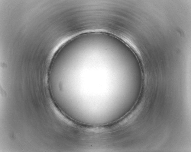 X0000091330797200708101001