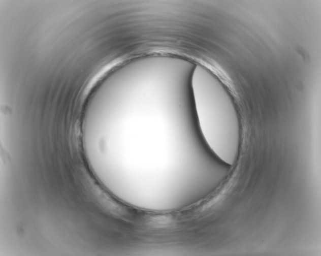 X0000091330798200708101001