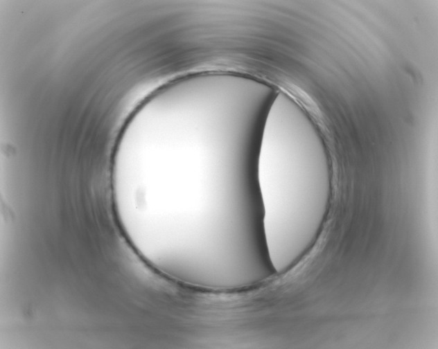 X0000091330800200708101001