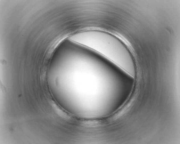X0000091330801200708101000