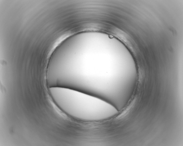 X0000091330802200708101000