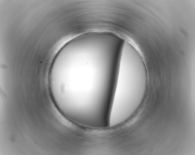 X0000091330803200708101000