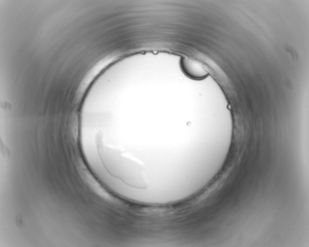 X0000091330804200708101000