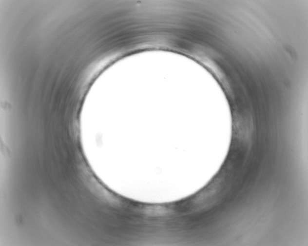 X0000091330807200708101000