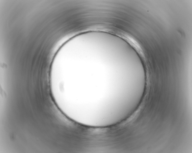X0000091330808200708101000