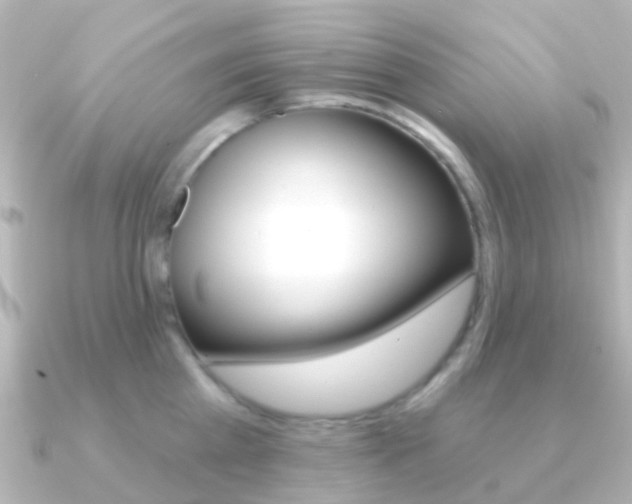 X0000091330809200708101000