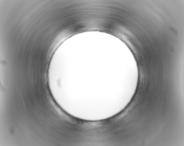 X0000091330810200708101000
