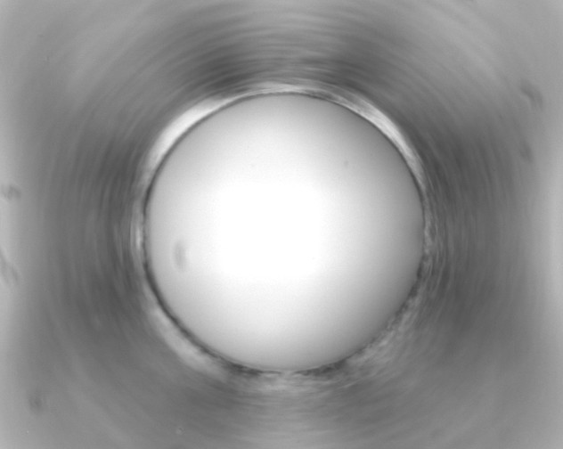 X0000091330811200708101000