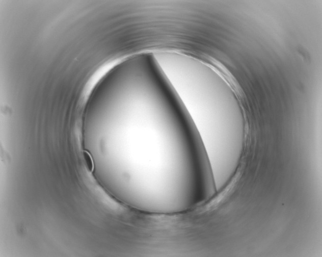X0000091330812200708101000