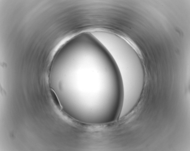X0000091330813200708101000