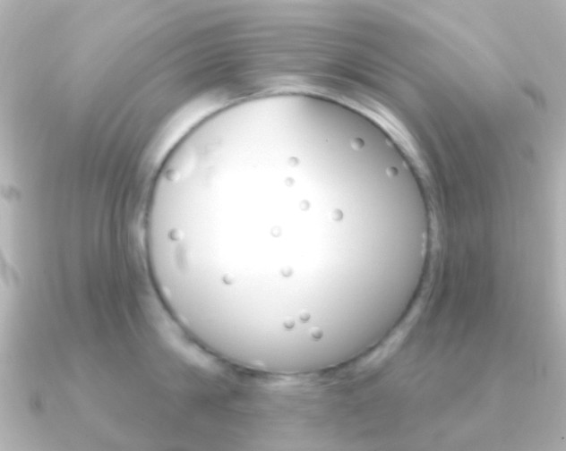 X0000091330814200708101000