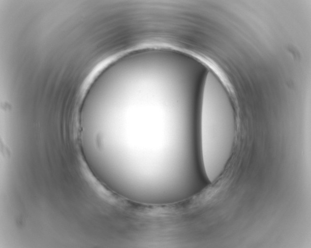 X0000091330815200708101000