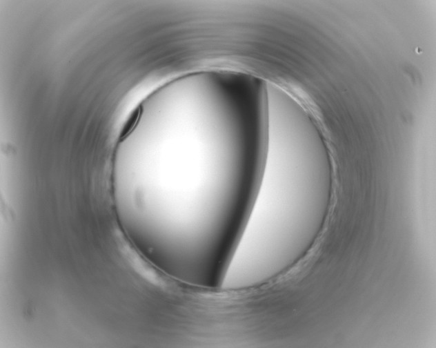 X0000091330816200708101000