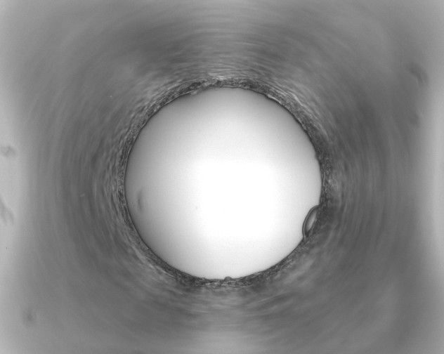 X0000091330817200708101000
