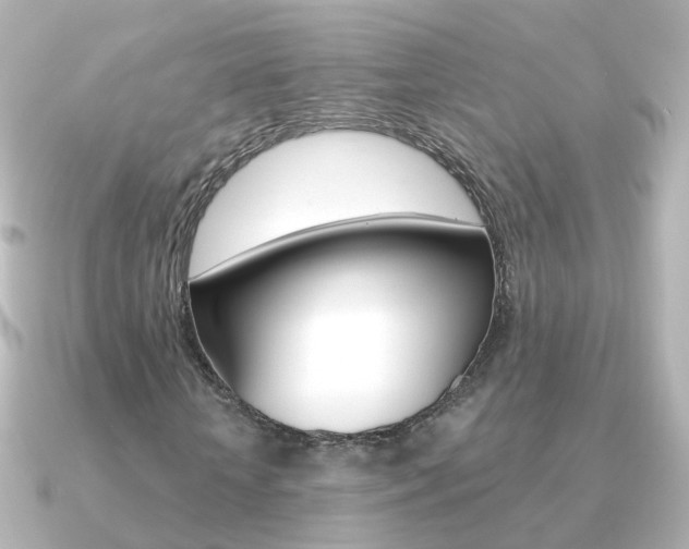 X0000091330818200708101000
