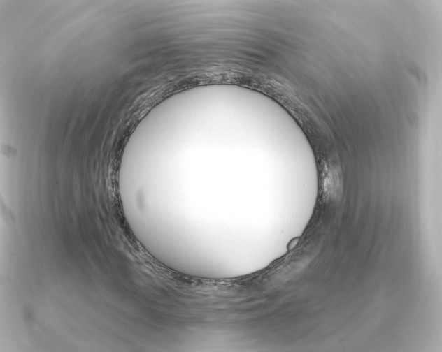 X0000091330819200708101000