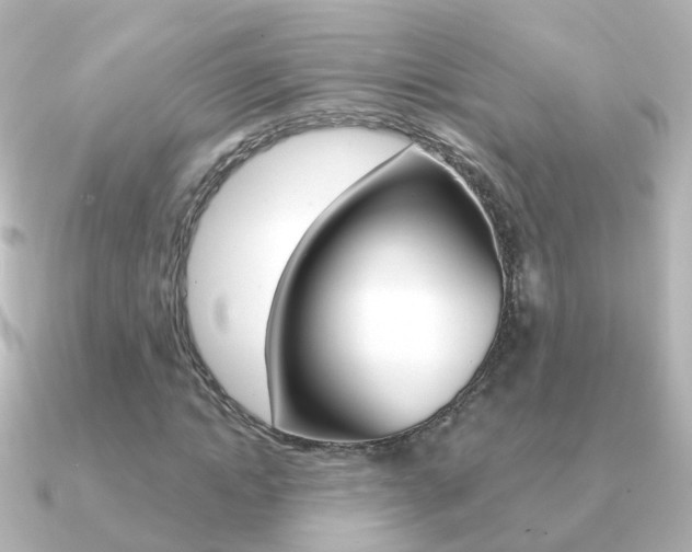 X0000091330822200708101000