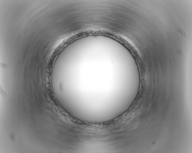 X0000091330823200708101000
