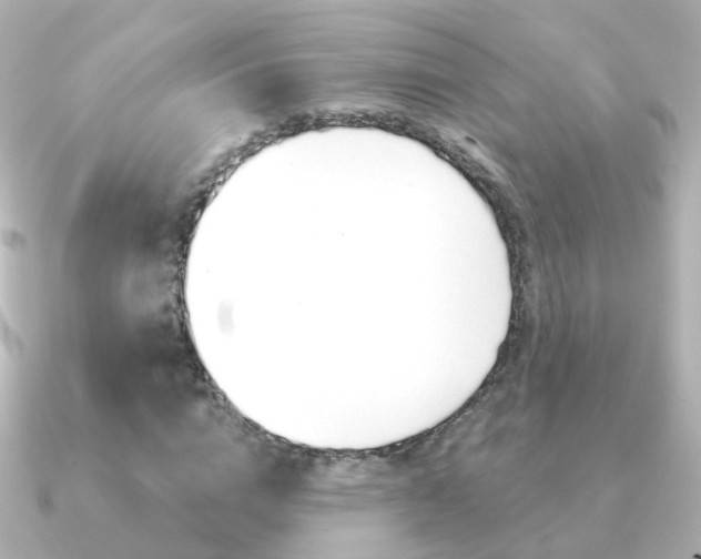X0000091330824200708101000