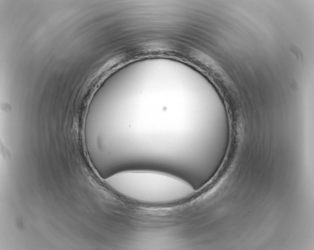 X0000091330825200708101000